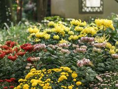 -杭州植物园