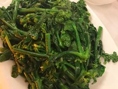 姜汁炒介兰苗-朱仔记食府(江南大道店)