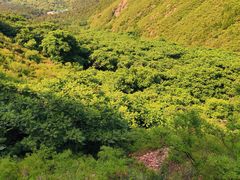 -山叶口景区