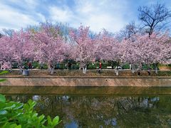 -元大都城垣遗址公园