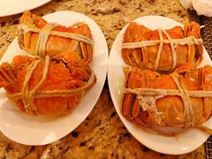 -上海锦江汤臣洲际大酒店壹阶层