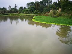 -桤木河湿地公园