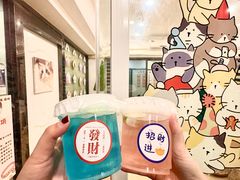 -有喵·猫咖·狗咖·30几只猫10只小狗(岗厦店)