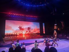 -中国马镇舞马世界主题乐园