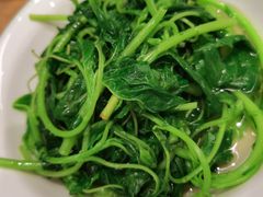 拌苋菜-老乡鸡(上海白玉兰广场店)