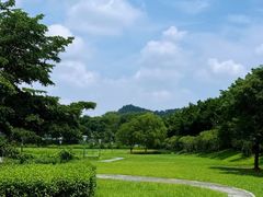 -风云岭森林公园