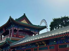 -天津大悲禅院