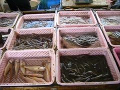 -大湾区中央湿地公园-十九涌
