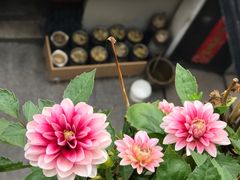 -旺山·浪头人家