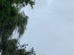 -千龙湖生态旅游度假区