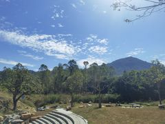 -黄埔油麻山森林公园