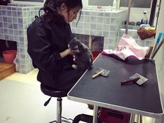 -1013 PET SHOP 宠物商店(近铁城市广场店)
