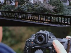 -杭州植物园