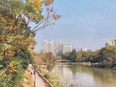 -金山公园