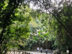 -梧桐山风景名胜区