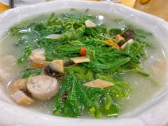上汤桑叶-姚林轩
