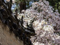 -潭柘寺景区