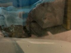 -雨林宠物医院 非犬猫异宠专科