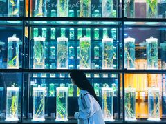 -广东中医药博物馆