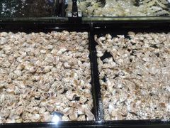 -海鲜e族(马王堆店)