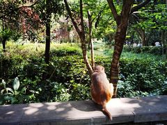 -黔灵山公园