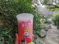 樱花粉荔-CoCo都可(虹口龙之梦店)