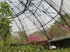 -野象谷景区
