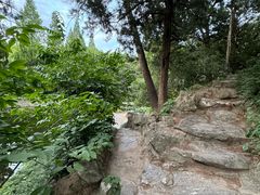 -叶家花园