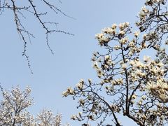 -虎丘山风景名胜区