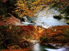 -光雾山旅游景区