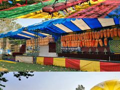 -北京国际鲜花港