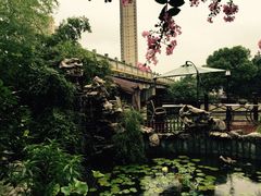 iphone_upload_pic-漫渡庄绿岛花园•隐世庭园菜(滨湖店)