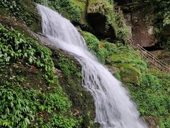 -中国大熊猫保护研究中心雅安碧峰峡基地