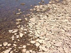 楠溪江-楠溪江风景名胜区