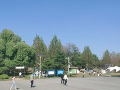 -乐行自行车运动乐园