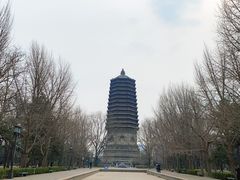 -玲珑塔公园