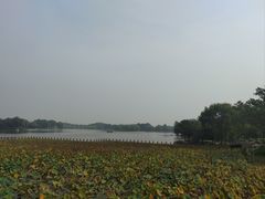 -石家庄市植物园