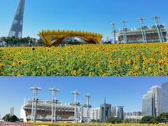 -海心沙亚运公园