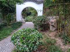 -竹子庵公园
