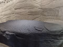 -白鹤梁水下博物馆