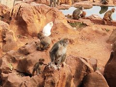 -昆明动物园