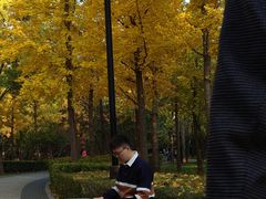 -迎泽公园