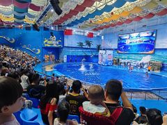 -多彩贵州城极地海洋世界