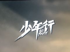 -枫花园汽车电影院(朝阳公园店)