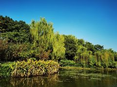 -杭州城北体育公园