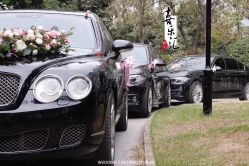 -喜乐汇·婚车(华润橡树湾3期店)