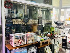 -读宠于你·约克夏比熊·睫角守宫·爬宠售卖(高新店)