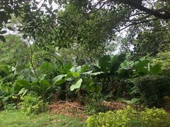 -涠洲岛-圣母堂