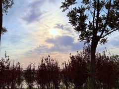 -天津东丽湖风景区