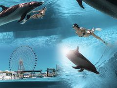 -海棠湾